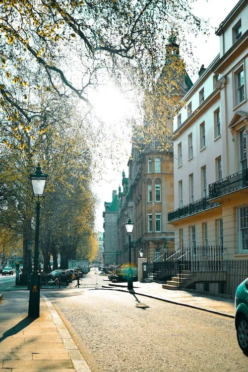 A tree-lined London street of white stuccoed houses with Victorian street lamps